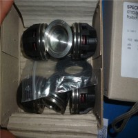 SPECK泵DS –MK系列DSB-360-MK資料