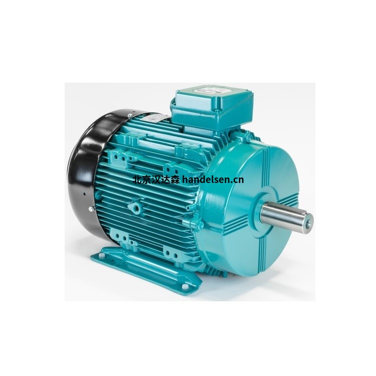 Brook Crompton WP-DA80MM單相電機(jī)