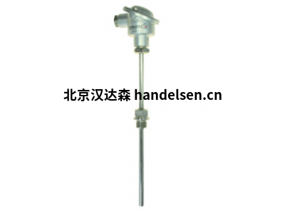 Tematec熱電偶TE7030型旋入式用于工業(yè)爐窯爐焚燒爐