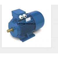 意大利 OEMER QSR 系列電機：革新工業(yè)動力的同步磁阻杰作