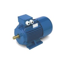 意大利 Oemer 電機 HQL100X 三相交流 功率 0.55-1.115kW 高效適配工業(yè)自動化