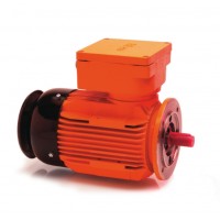 德國(guó)HEW防爆三相電機(jī)用于危險(xiǎn)區(qū)域的高性能電機(jī)